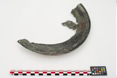 Foto von Bronzephalere (NHMW-PRAE-024394)